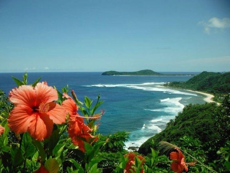 Hibiscus Flower Wallpapers - ReallyRushai