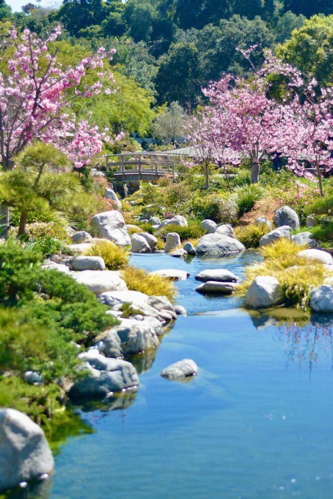 Cherry blossom wallpapers - ReallyRushai