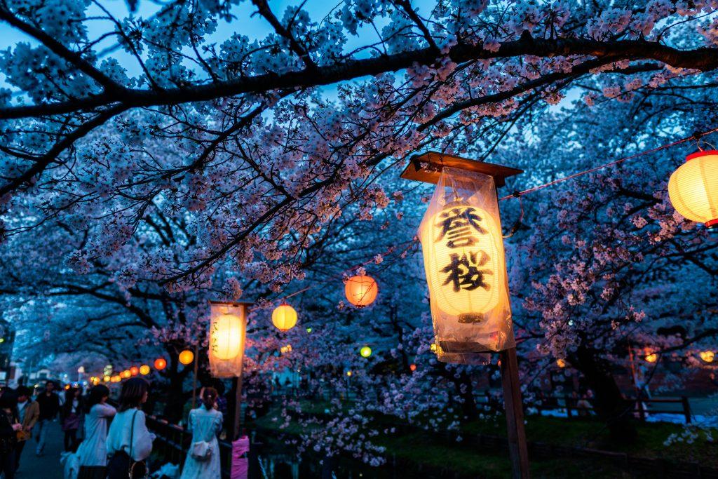 Cherry blossom wallpapers - ReallyRushai