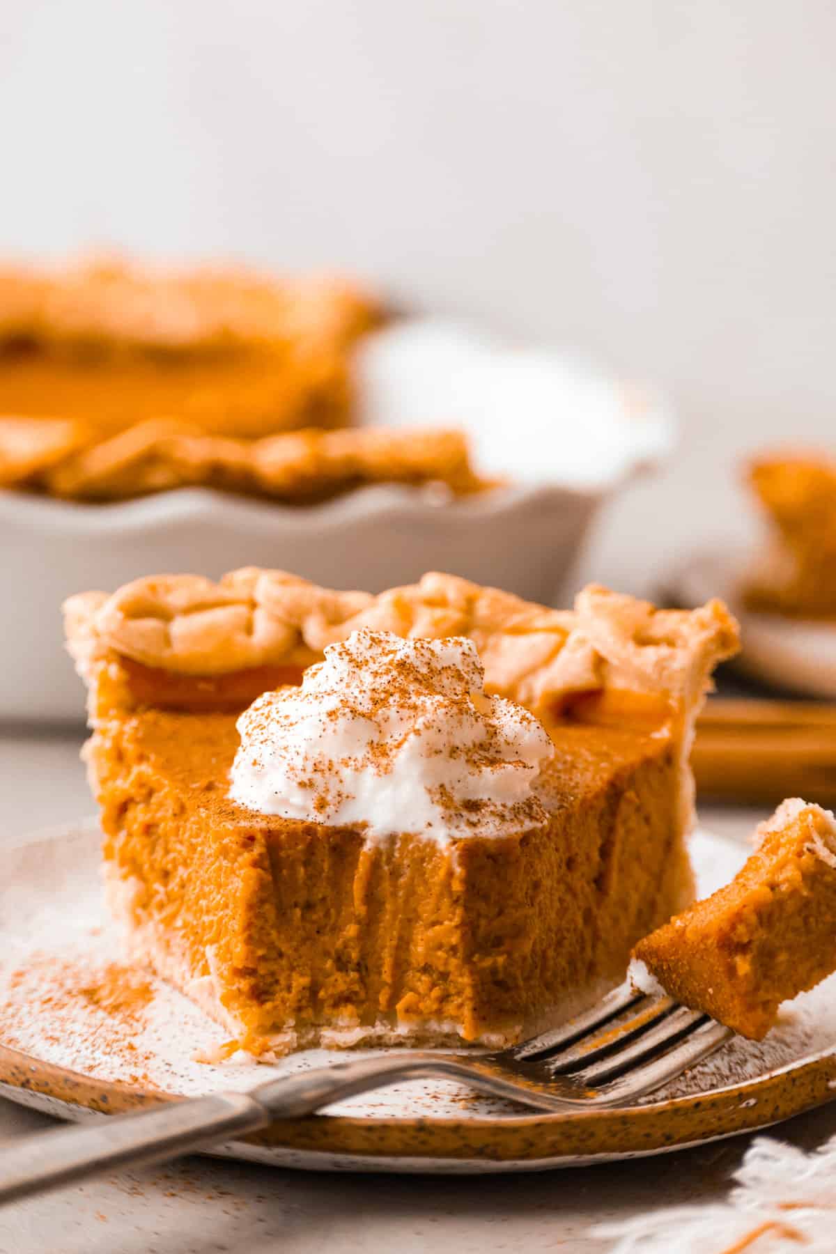 23 Easy Pie Recipes Anyone Can Make (Even If You Always Burn the Crust!) - ReallyRushai